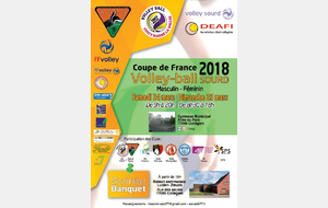 VB / Coupe de France